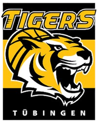 图寅根雷达虎